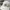 Tommy Hilfiger Sportswear Casual Hat Pria cream photo 2