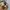 Tommy Hilfiger Sportswear Casual Hat Pria cream photo 7