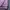 Ellesse Casual Sweatshirt Pria purple photo 3