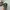 Sportswear Casual Hat Pria green photo 1