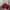 Vintage Hat Pria red black photo 3