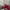 Vintage Hat Pria red black photo 1
