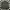 Adidas Sportswear Casual Track jacket Pria black photo 2