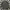 Adidas Sportswear Casual Track jacket Pria black photo 1