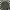 Adidas Sportswear Casual Track Jacket Pria Black