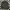 Adidas Sportswear Casual Track jacket Pria black gray photo 2