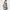 Vintage Sportswear Puffer jacket Pria tan photo 2