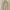 Casual Baju muslim Wanita cream photo 1
