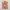 MICHAEL KORS BOXY CHEONGSAM SHIRT photo 2