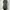 MHL MARGARET HOWELL OXFORD COAT JACKET  photo 1