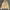 Quiksilver Skater Sportswear Track jacket Pria cream photo 2