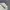 Carhartt Streetwear Sweater Pria gray photo 1