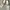 Tory Burch Minimalist Heels Wanita cream photo 3
