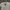 Y2K Crop top Wanita white photo 1