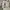 Nike Casual Sneakers Pria white photo 5