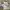 Nike Casual Sneakers Pria white photo 1