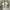 Nike Casual Sneakers Pria white photo 4