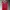 Casual Crop top Wanita red photo 4