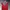 Casual Crop top Wanita red photo 3