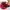 Vintage Hat Pria red brown photo 7