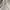 Buckaroo Streetwear Y2K Hoody Pria white photo 6