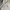 Grooverhyme Streetwear Skater Hoody Pria white photo 4