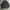 The North Face Streetwear Casual Sweatshirt Pria gray photo 1