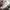New Balance Streetwear Indie Sneakers Pria tan gray photo 1