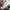 New Balance Streetwear Indie Sneakers Pria Tan Gray