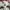 New Balance Streetwear Indie Sneakers Pria tan gray photo 3