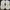 Yeezy Sportswear Casual Sneakers Pria gold cream photo 7