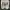 Yeezy Sportswear Casual Sneakers Pria gold cream photo 5