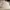 New Era Streetwear Hat Pria cream photo 2