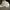 New Era Streetwear Hat Pria cream photo 3