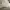 New Era Streetwear Hat Pria cream photo 4
