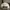 New Era Streetwear Hat Pria cream photo 5