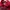Sportswear Hoody Pria red photo 2