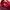 Sportswear Hoody Pria Red