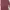 Minimalist Blouse Wanita Burgundy