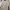 Luxury Windbreaker Wanita cream photo 2