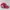 Zephyr D'Urban Vintage Sportswear Hat Pria Multicolor Red