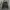 Casual Fur coat Wanita green gray photo 1