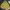 Vintage Windbreaker Pria khaki yellow photo 1