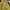 Vintage Windbreaker Pria khaki yellow photo 5