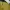 Vintage Windbreaker Pria khaki yellow photo 2