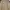 Vintage Sportswear Windbreaker Pria tan photo 4