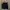 Sandro Paris Luxury Mini skirt Wanita black photo 1