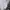 Vintage Streetwear Windbreaker Pria white photo 4