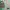 Sportswear Windbreaker Pria green photo 4
