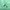 Sportswear Windbreaker Pria green photo 5